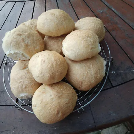 Le Bosc Bed & Breakfast